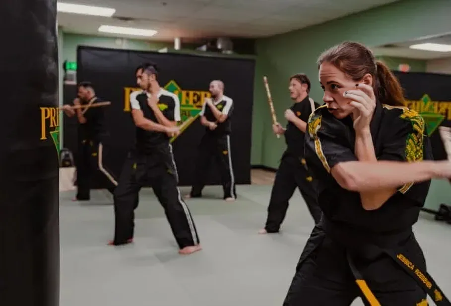 Adult Martial Arts at Premier Martial Arts Pines